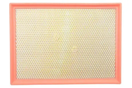 Фильтр воздушный Renault Master/Opel Movano/Nissan Interstar 3.0DCI 03- WIX FILTERS WA9519