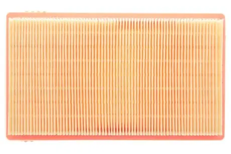 Фильтр воздушный Nissan Note/Micra/Tida 1.6 16V 01-/Cube III (Z12) 10- WIX FILTERS WA9604