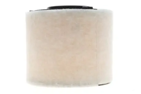 Фильтр воздушный Audi A4/A5/Q5 2.0D/2.0H 15- WIX FILTERS WA9829