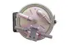 Фильтр топливный Renault Megane 1.5/2.0dCi 05-09/Scenic/Grand Scenic 1.5/2.0dCi 05- WIX FILTERS WF8394 (фото 3)