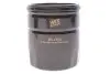 Фильтр масляный Ford Focus III/Mondeo V/Galaxy/Kuga 2.0 TDCi 14- WIX FILTERS WL7524 (фото 1)