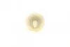 Фильтр топливный Fiat Ducato 2.0 86-94/Ford Transit 2.0 77-92 WUNDER FILTER WB 523 (фото 4)